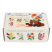 Flower growing kit - Bee and Butterfly