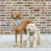 Tweed Dog Bandana / Neckerchiefs