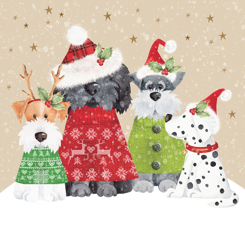 Fancy Dress Christmas Card - Pack of 10