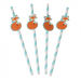 Paper straws (pack of 4) - Rusty the Fox