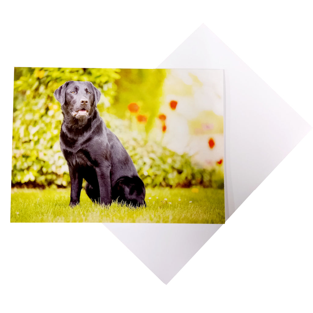 Hearing Dog Erica Greeting Card