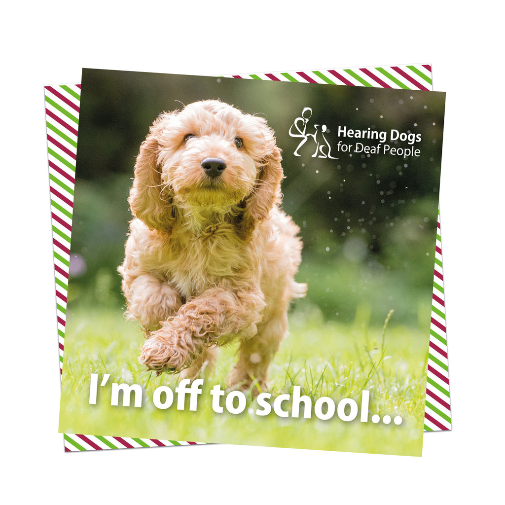 A picture of a very adorable apricot Cockapoo puppy in the grass running towards us with the Hearing Dogs logo in the top right hand corner and the words