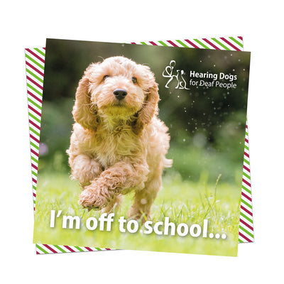 A picture of a very adorable apricot Cockapoo puppy in the grass running towards us with the Hearing Dogs logo in the top right hand corner and the words 
