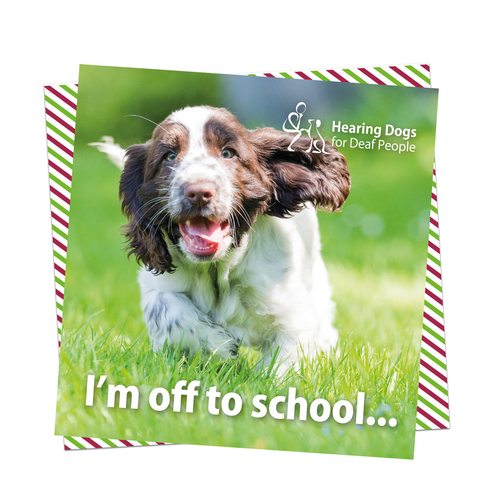 A picture of a very happy, young brown and white Spaniel in the grass running towards us with their mouth open and brwons eyes flapping. The Hearing Dogs logo is in the top right hand corner and the words