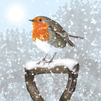 Christmas Robin Cards