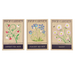 ONE pack of flower seeds (assorted - SINGLE)
