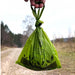 Degradable poo bag refills