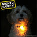 Soft Blinker Orange