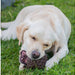 Ancol  Pine cone treat toy