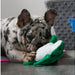 Mini Turtle/Seal/Seahorse Dog toy (1 item)