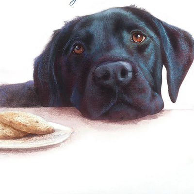 Mini Notecard Pack (6 Cards) - Black Labrador
