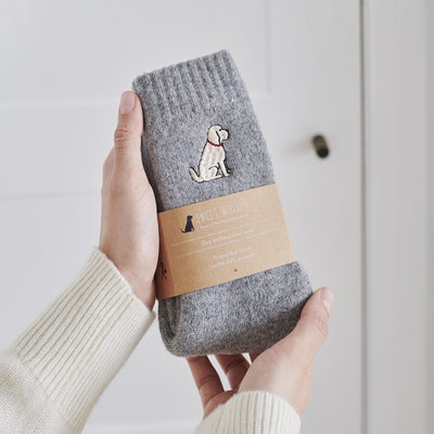 Dog Walker Socks - Apricot Cockapoo / Labradoodle