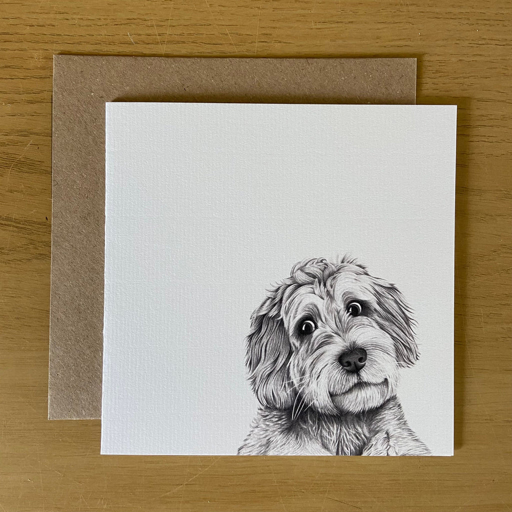 Cooper Cockapoo Card