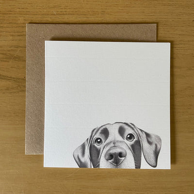 Lenny Labrador Card