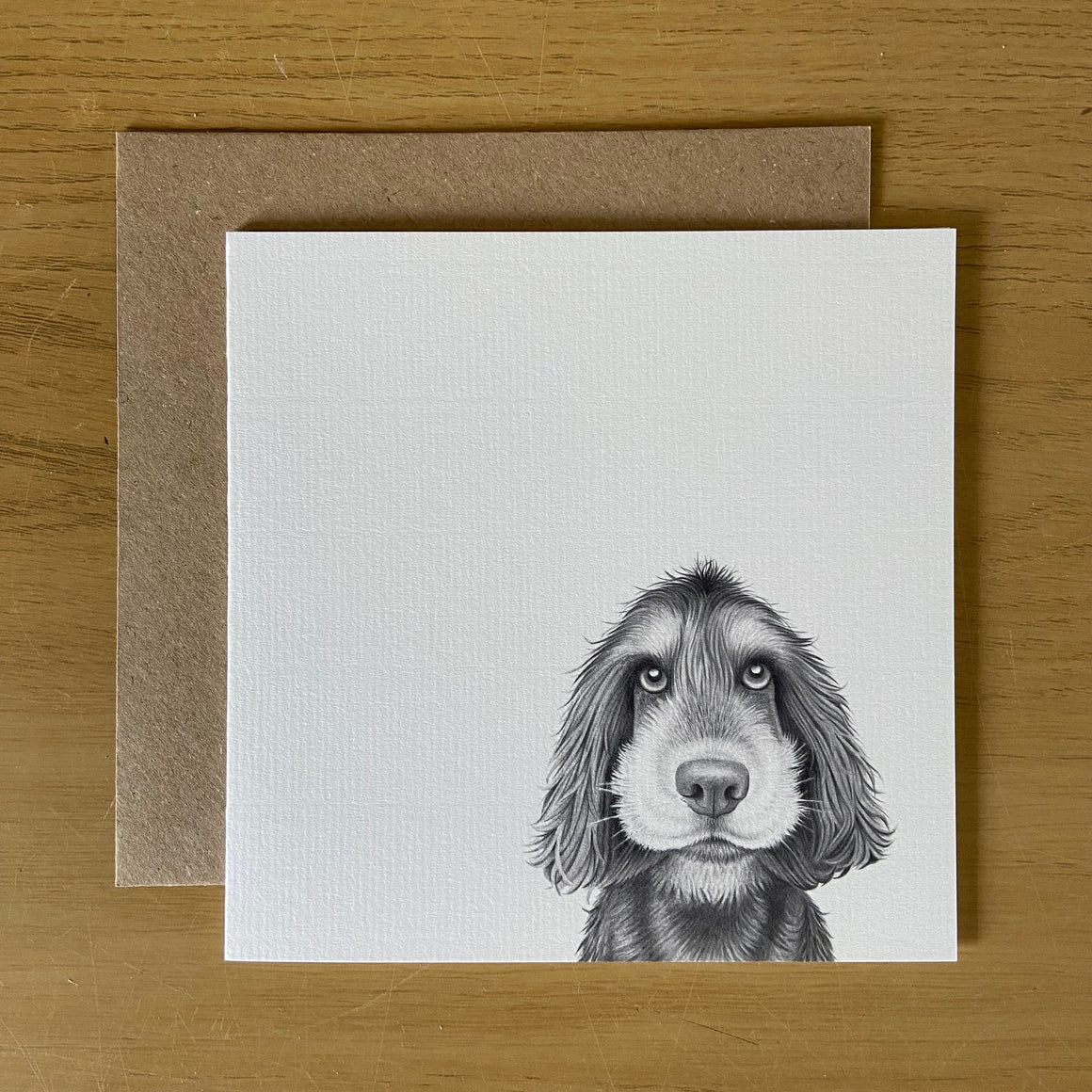 Sonny Spaniel Card
