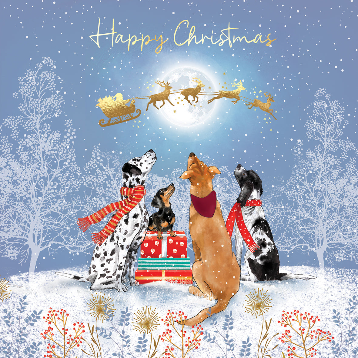 Waiting Santa Christmas Cards