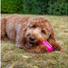 Ice Lolly Cooling Toy