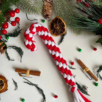 Red and white braided dog toy on a festive background with pine branches, berries, and cinnamon sticks.