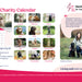 A 2027 Charity Calendar design for Hearing Dogs for Deaf People, featuring a monthly grid with photos of dogs, a sample calendar page, a testimonial quote, and a photo of a woman with her dog on a grassy field.