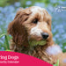 2027 Charity Calendar cover for Hearing Dogs, opens to A3 size space for writing