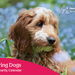 2027 Charity Calendar cover for Hearing Dogs, featuring a close-up photo of a golden doodle dog in a field of blue flowers, with a pink banner at the bottom and the Hearing Dogs for Deaf People logo in the top right.