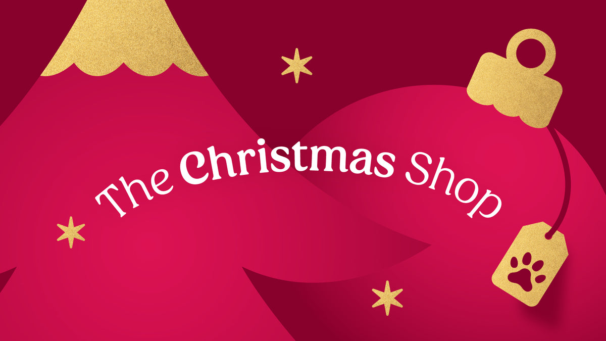 Christmas Gifts & Festive Favourites