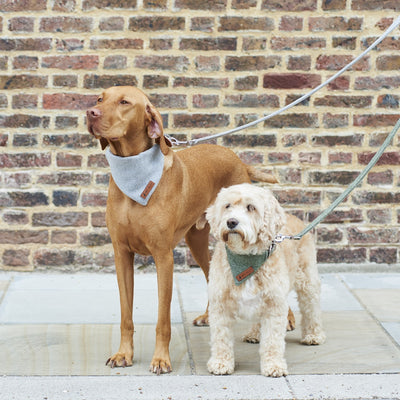 Tweed Dog Bandana / Neckerchiefs