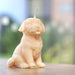Handmade decorative soy candle from a UK small business, non‑fragranced and dog‑themed, ideal for home décor or gifting.