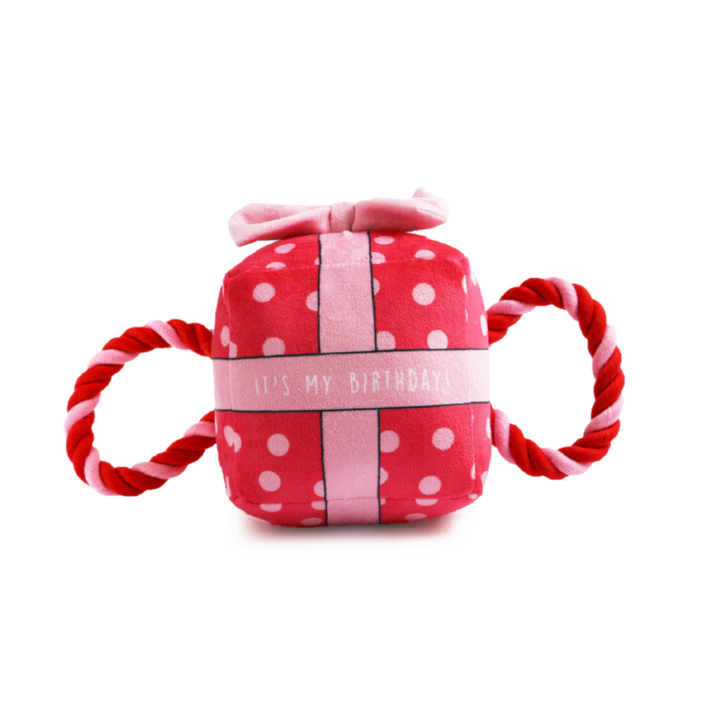 Image shows a soft fabric square dog toy, which looks like a birthday present with a soft pink bow on the top. The present has 'It's my birthday' written across the front in white font. The parcel is mainly red with soft pink spots dotted around. Rope handles are situated either side of the toy.  The rope colour is a mixture of reds and pinks. 