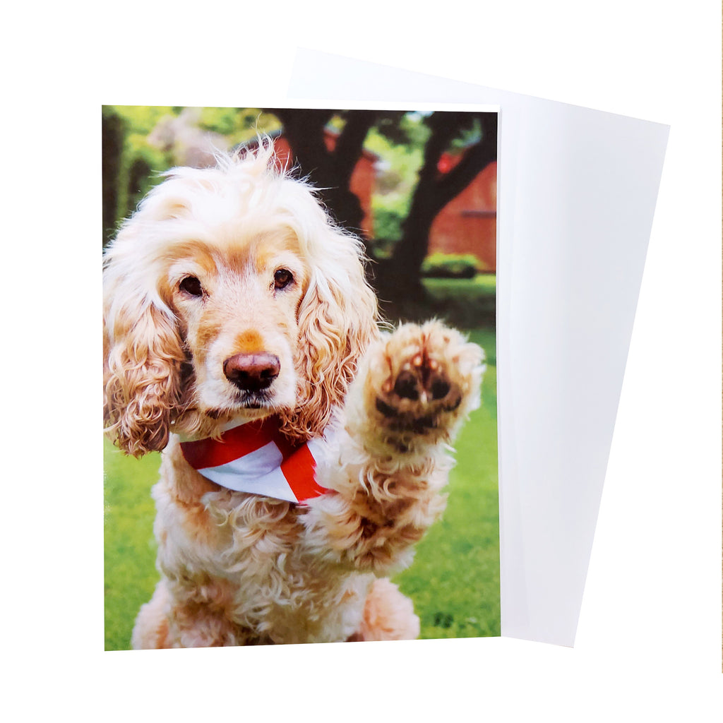 Portrait greetings card, with a photograph of Hearing Dog 'Albert' with left paw lifted waving at camera. Albert is a  apricot coloured cocker spaniel , wearing a white and red  dog neckerchief.