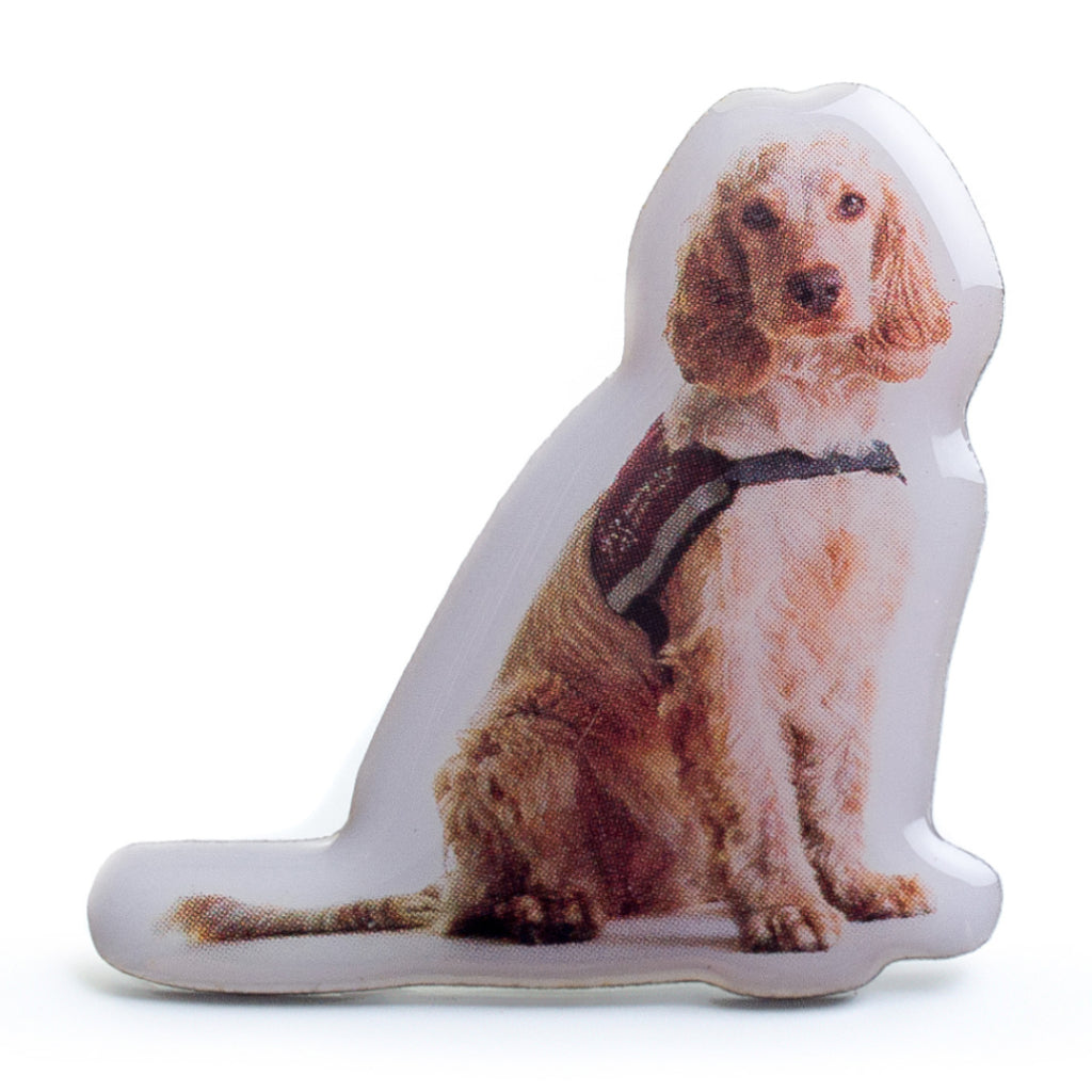 Shiney pin badge in the shape of a sideways shot of hearing dog Lily. Lily is a light coloured, fluffy Spaniel in a sitting position with her hearing dogs jacket on.