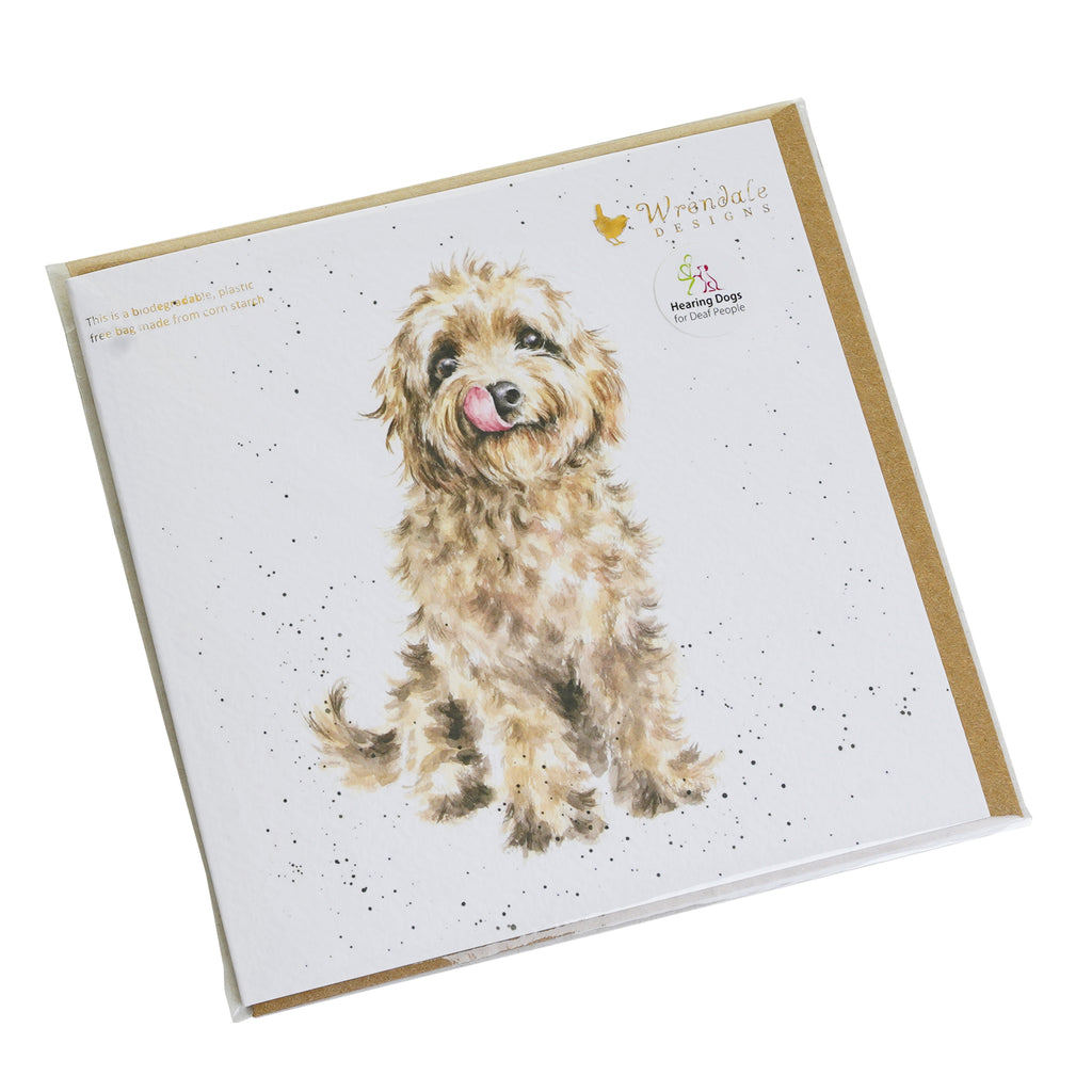Close up photo of the card at a slight angle, tilting towards the right. Image shows lovely illustration of a golden Cockapoo sitting with their tongue out looking very happy. Wrendale Designs logo is at the top right hand corner of the card, and just below this is Hearing Dogs for Deaf People logo on a sticker. Golden envelope can be seen behind the card.