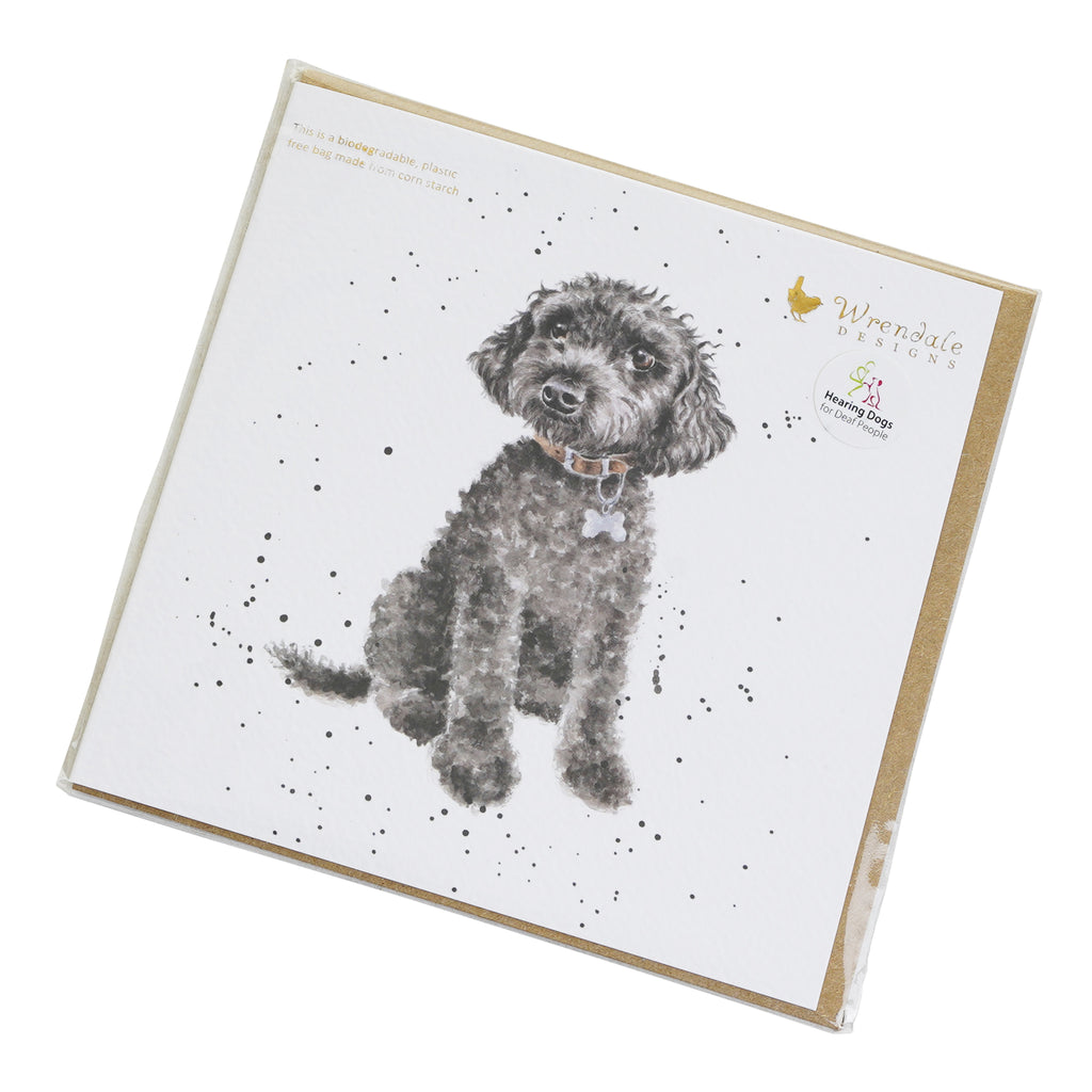 Close up photo of the card at a slight angle, tilting towards the right. Image shows lovely illustration of a cute black / grey Poodle sitting. Wrendale Designs logo is at the top right hand corner of the card, and just below this is Hearing Dogs for Deaf People logo on a sticker. Golden envelope can be seen behind the card.