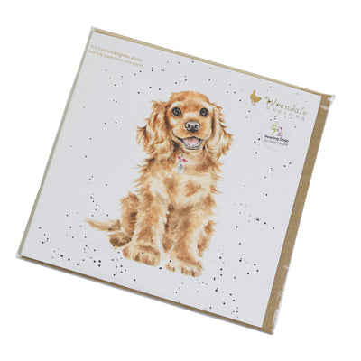 Close up photo of the card at a slight angle, tilting towards the right. Image shows lovely illustration of a cute golden Spaniel sitting looking very happy. Wrendale Designs logo is at the top right hand corner of the card, and just below this is Hearing Dogs for Deaf People logo on a sticker. Golden envelope can be seen behind the card.