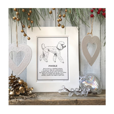 A print featuring a black and white line illustration of a Poodle with a poem about Poodles underneath. The print is in a cream mount and sat on a wooden surface with festive decorations around it.