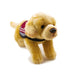 A beautiful yellow labrador soft toy with a black nose and eyes and freckles on its snout wearing a burgundy and black Hearing Dogs jacket and facing diagonally towards us.