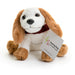 Front on shot of a small soft toy dog in a sitting position. The dog looks like it could based on a Spaniel with long ears. The body of the dog is white, the ears and paws are light brown and the dog has brown eyes, a black nose and a mouth sewn in a neutral position. The collar part of the miniature burgundy Hearing dogs jacket is also visible. There is a card tag attached to one of the dog's ears that has the Hearing Dogs logo and web address underneath.