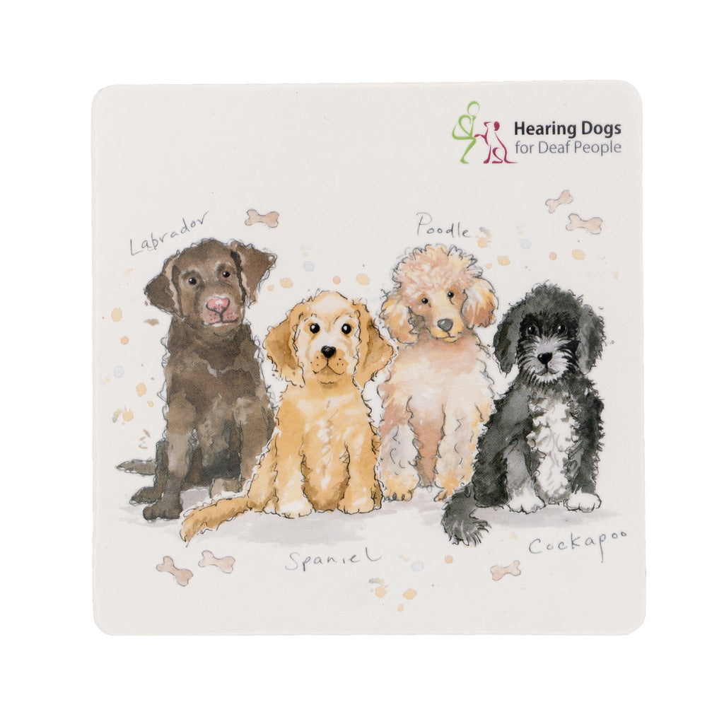 A square white coaster with sketch drawings of a brown Labrador, golden Spaniel, apricot Poodle and black and white Cockapoo, all sat in a group. Breed names and small drawings of bones are around the four dogs.