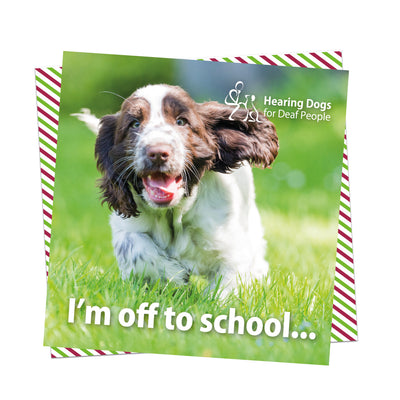 A picture of a very happy, young brown and white Spaniel in the grass running towards us with their mouth open and brwons eyes flapping.  The Hearing Dogs logo is in the top right hand corner and the words 