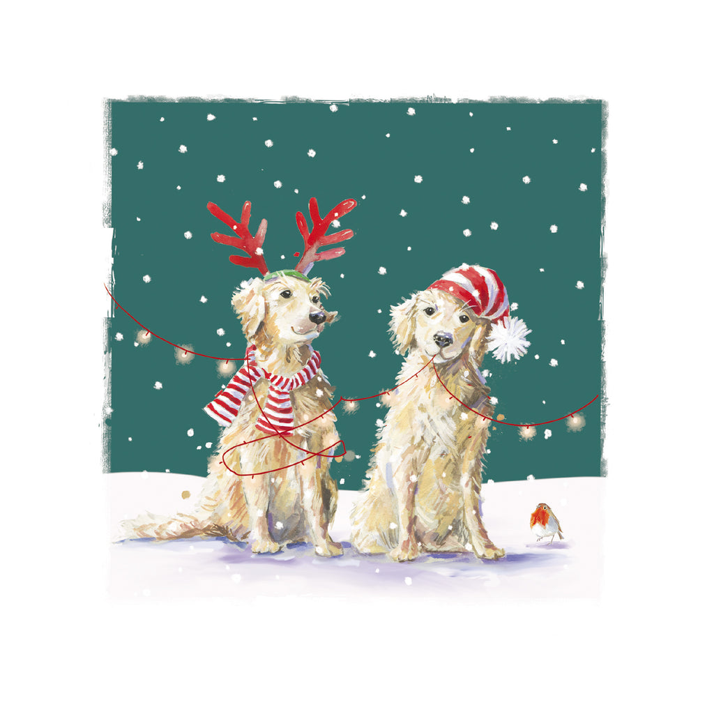 The front of a festive greeting card. The Image on the front of the card is of 2 Golden Retrievers on a green background, with white snow drops falling over the 2 dogs. There is also a little robin standing in the snow next to the dogs. One dog is wearing red reindeer antlers and a stripy red and white scarf. The other dog is wearing a red and white stripy woolly hat with a white pom pom.